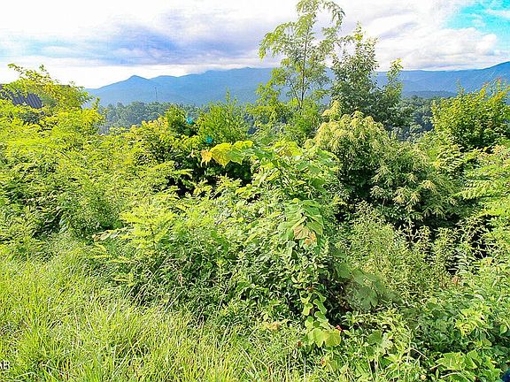 5th image of 254 Village Loop Rd Lot 254