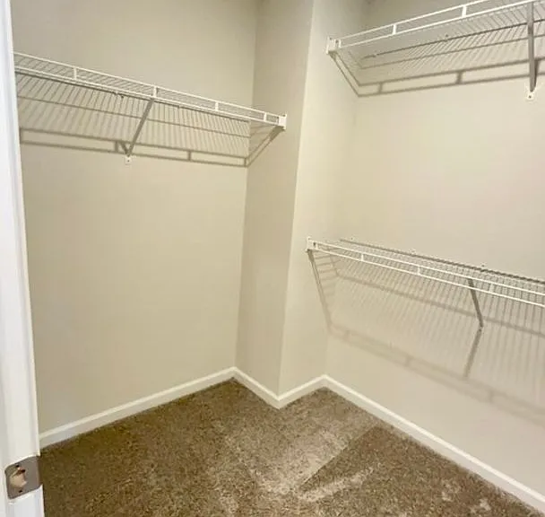 156 Calming Creek Way — Photo 24