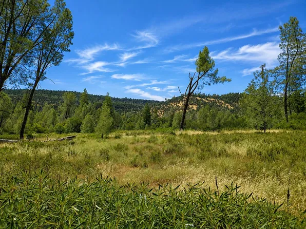 Battle View Dr, Manton, CA 96059