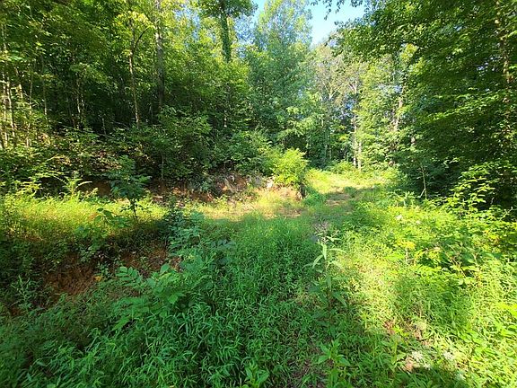 5th image of 0 Highway 25 Lot 70-2