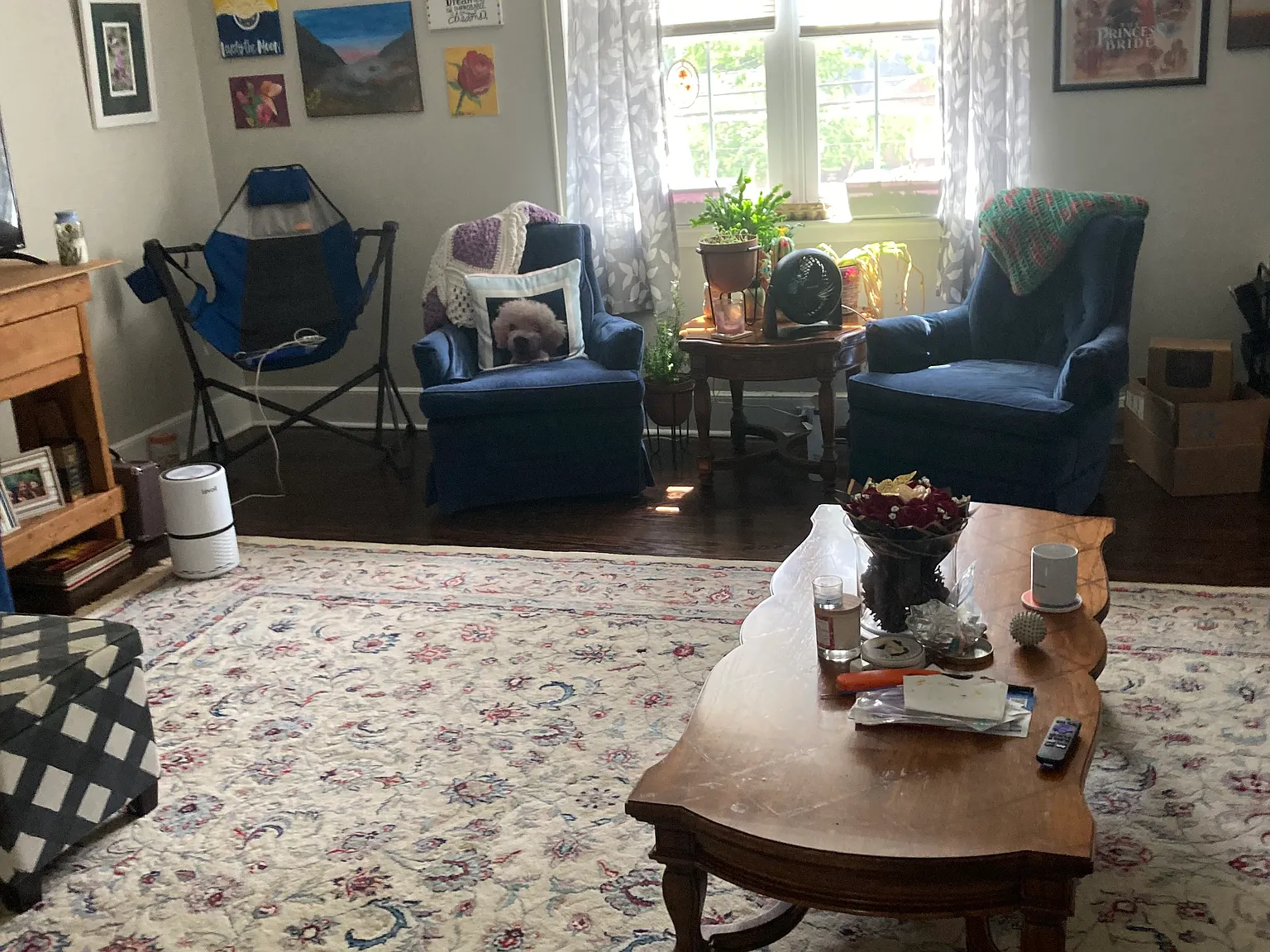 2 bed, 1065 sqft, $900 — Photo 2