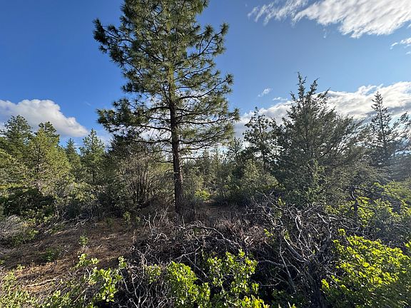 4th image of 0 Grizzly Ln #14