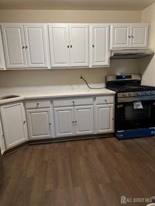 195 College Dr, Edison