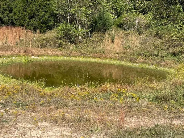 6312 County Road W76-436, Ava, MO 65608