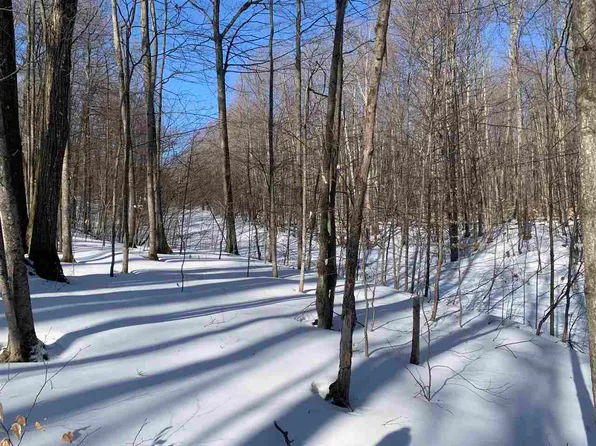 1412 Andover Club Dr, Harbor Springs, MI 49740