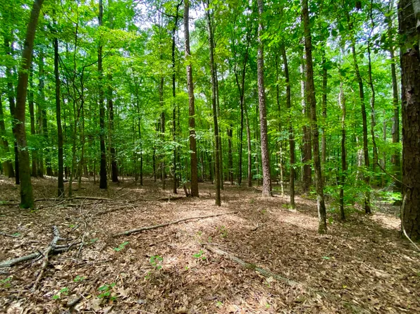 0 Mount Olive Rd, Coker, AL 35452