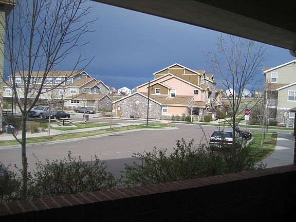 Patio View