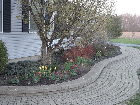 Paver Front Walkway