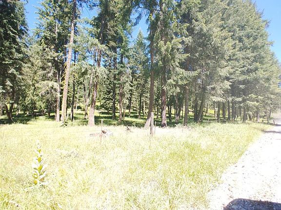 4th image of 4 Deadman Creek Rd