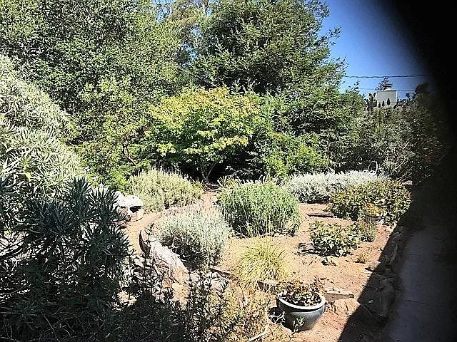 2 bed, 1270 sqft, $4,250 — Photo 4