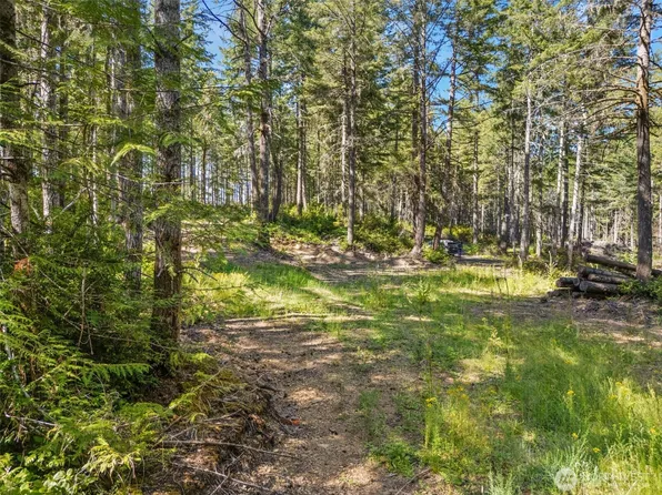 0 TR4 E Mason Lake Road, Grapeview, WA 98546