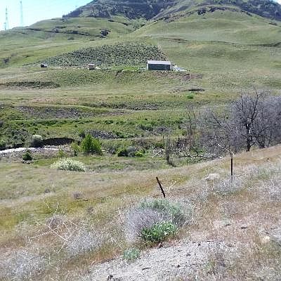 2nd image of 7049 Tarpiscan Rd