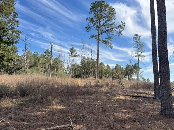 Township Road 3a Fm #752, Alto, TX 75925