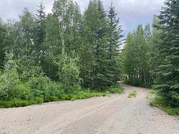 3rd image of 2549 Dall Sheep Ln