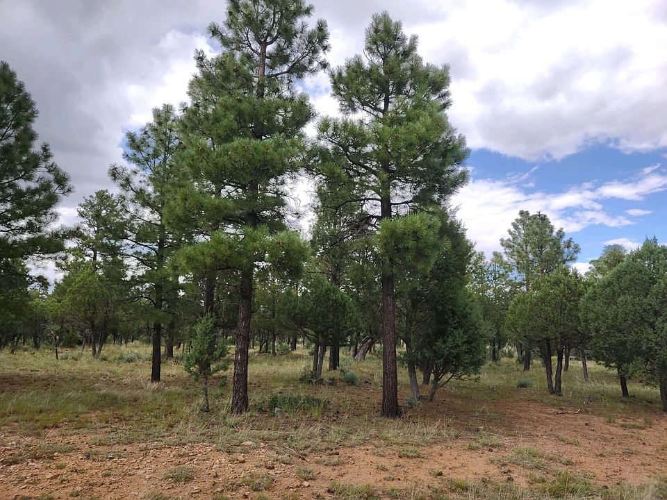 2nd image of 3422 Durango Dr