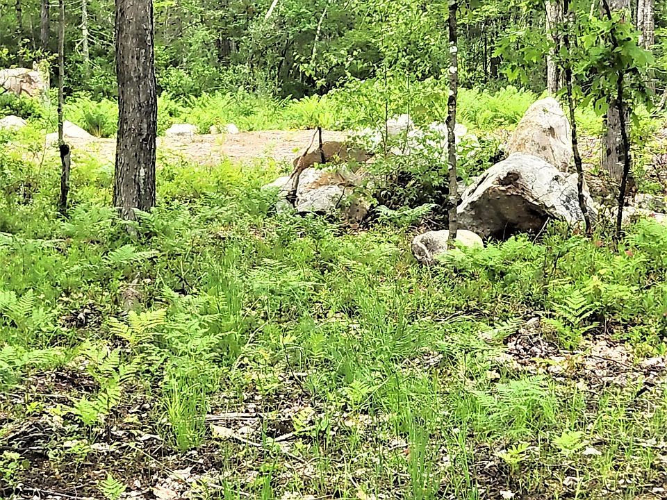 Lot B Owls Nest Road Lot 6, Shapleigh, ME 04076 MLS 1565659 Zillow