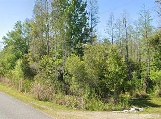 26611 C C LANE LOT 605, WESLEY CHAPEL, FL 33544