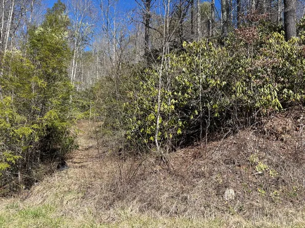 Partridge Creek Rd, Topton, NC 28781