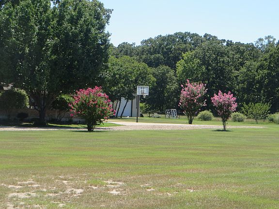 crepe myrtles line the drive