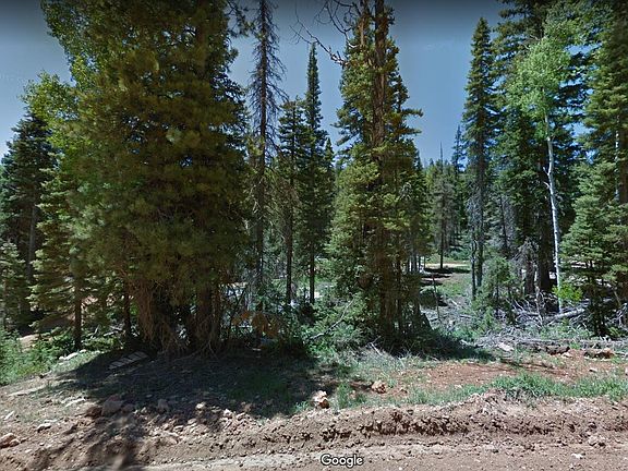 3rd image of 955 W Bear Trak #67