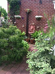 Sold by Dwell Residential Inc