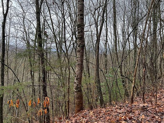 5th image of 230 Mountain Cir