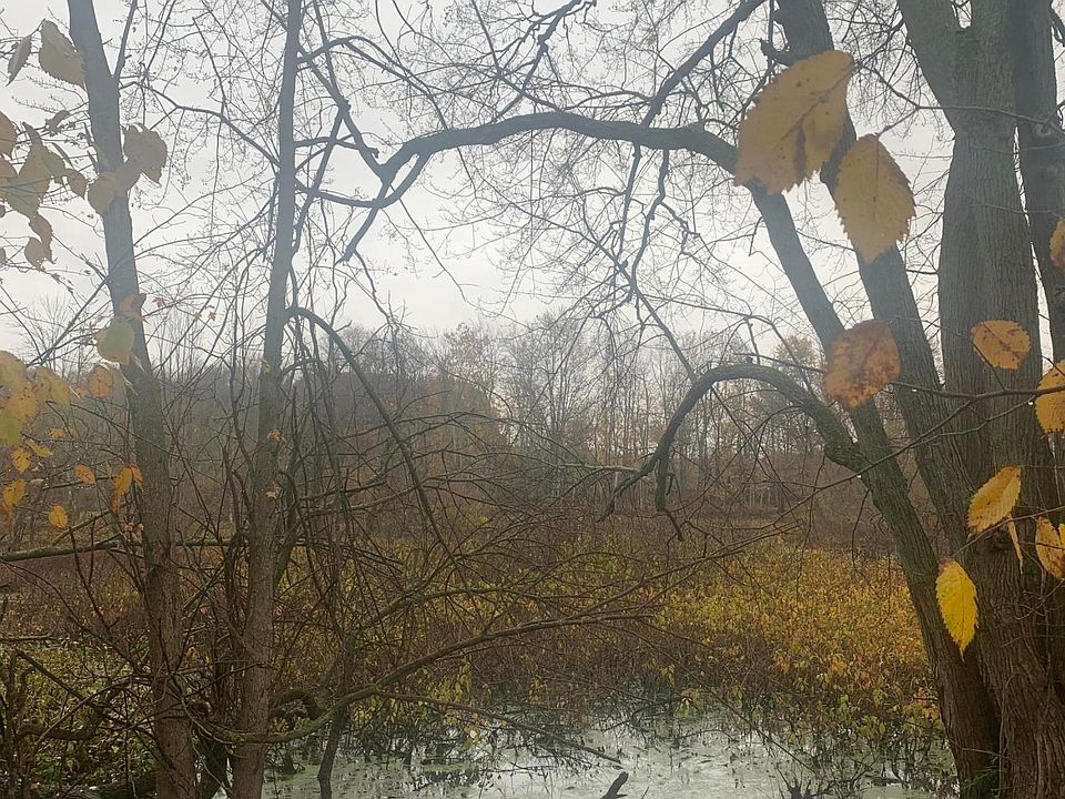 2nd image of 12770 River Rd
