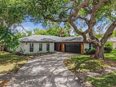 848 HILLSIDE DRIVE, Palm Harbor, FL, 34683