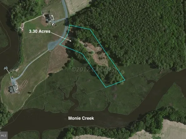 12485 Mallard Ln, Princess Anne, MD 21853