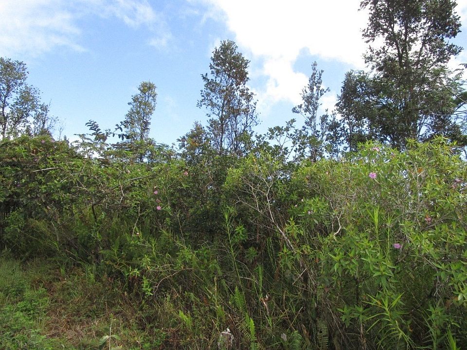 1st image of 8th Avenue Kahili Lot 1969