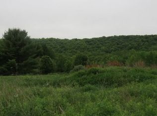 207 Thayer Rd, Erin, NY 14838