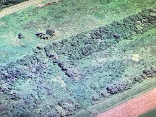 E 16th St, Larose, LA 70373