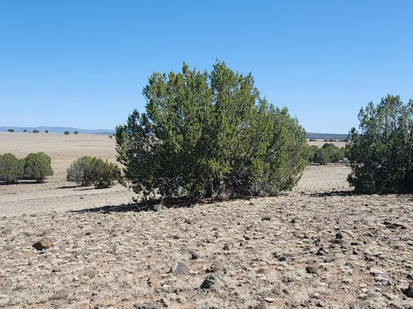 273 W Antelope Run Rd, Ash Fork, AZ 86320