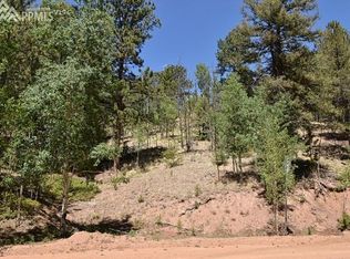 16 Horseshoe Dr, Divide, CO 80814