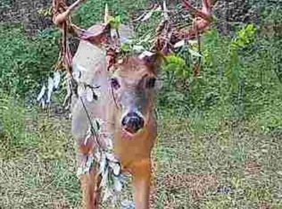 489 Kelly Rd, De Mossville, KY 41033