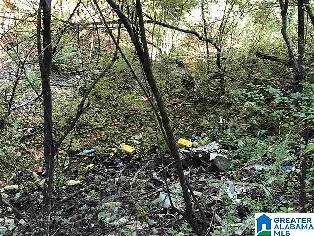2nd image of 4541 Eldorado Dr Lot 1
