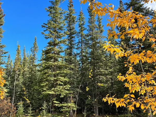 L7b5 Blackburn St, Tok, AK 99780