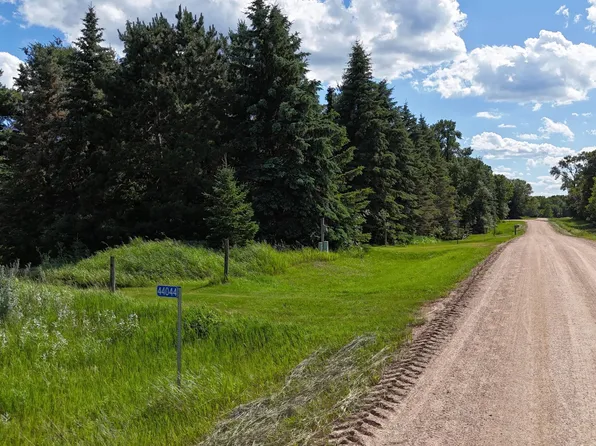 44044 Blackjack Dr, Henning, MN 56551