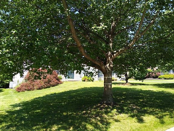 4th image of 310 Tapestry Cir