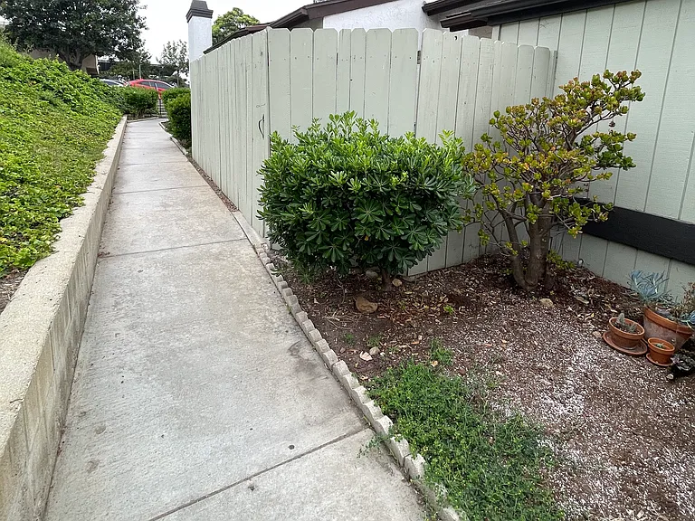 809 Beyer Way — Photo 21