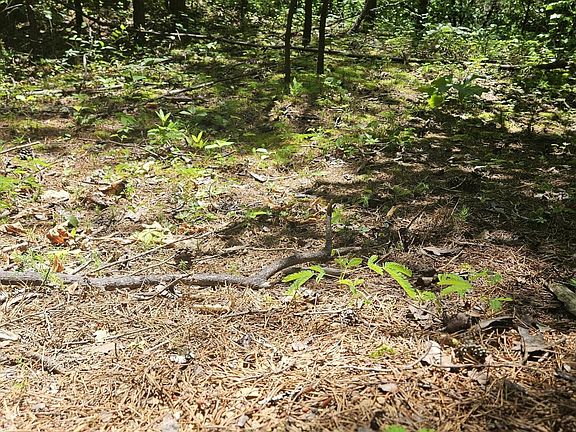 5th image of 810 Price McCarter Way Lot 8&10