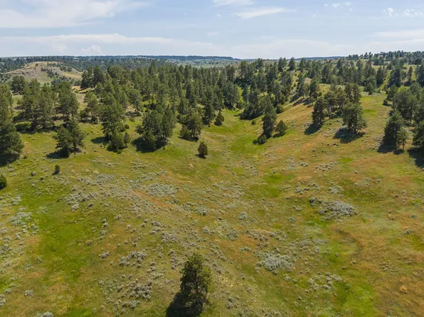 499 Government Canyon Rd, Hulett, WY 82720