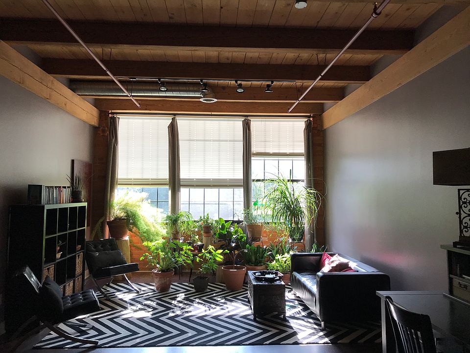 Living Room - Park View