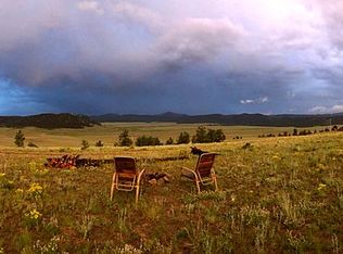 62 Sod Roof Run, Hartsel, CO 80449