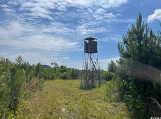 Tbt Earle Road Powell Loop, Andrews, SC 29510