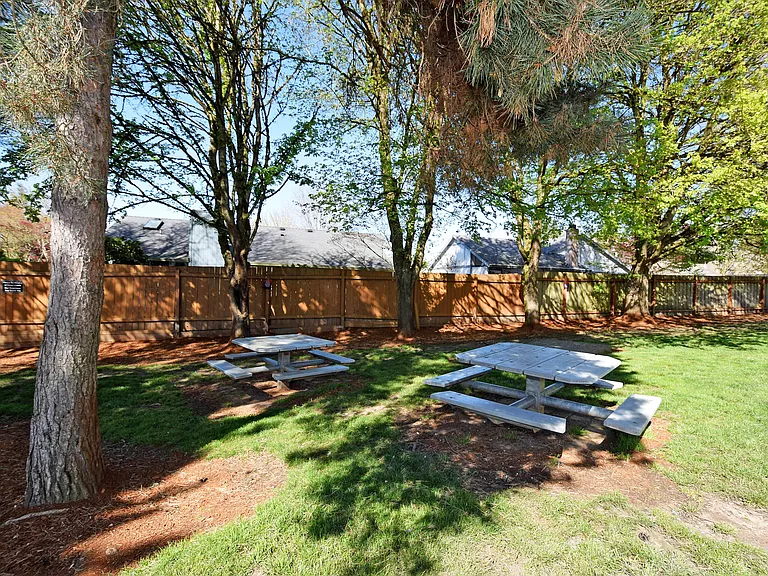 Picnic Area