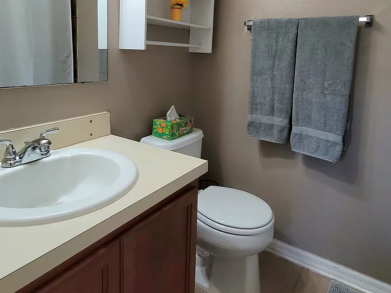 4408 Tuscan Loon Dr — Photo 15