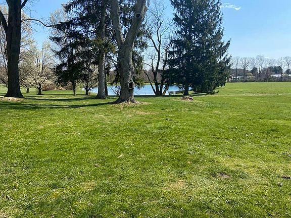 Catch and Release Pond