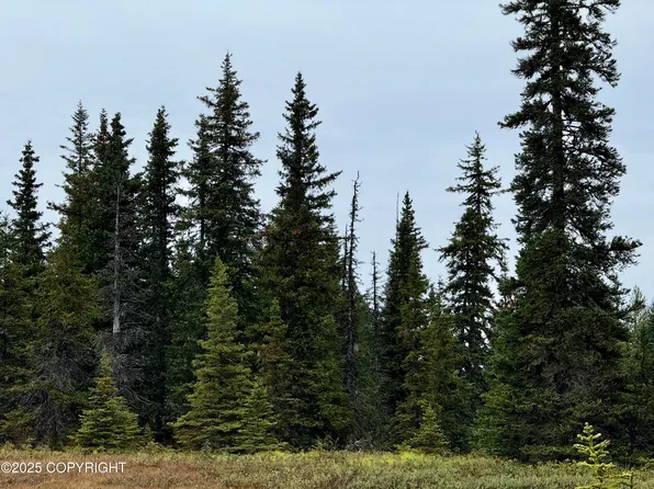 68576 Eight Mile Pl, Homer, AK 99603