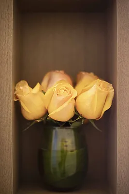 Rented by The Albanese Organization | media 9